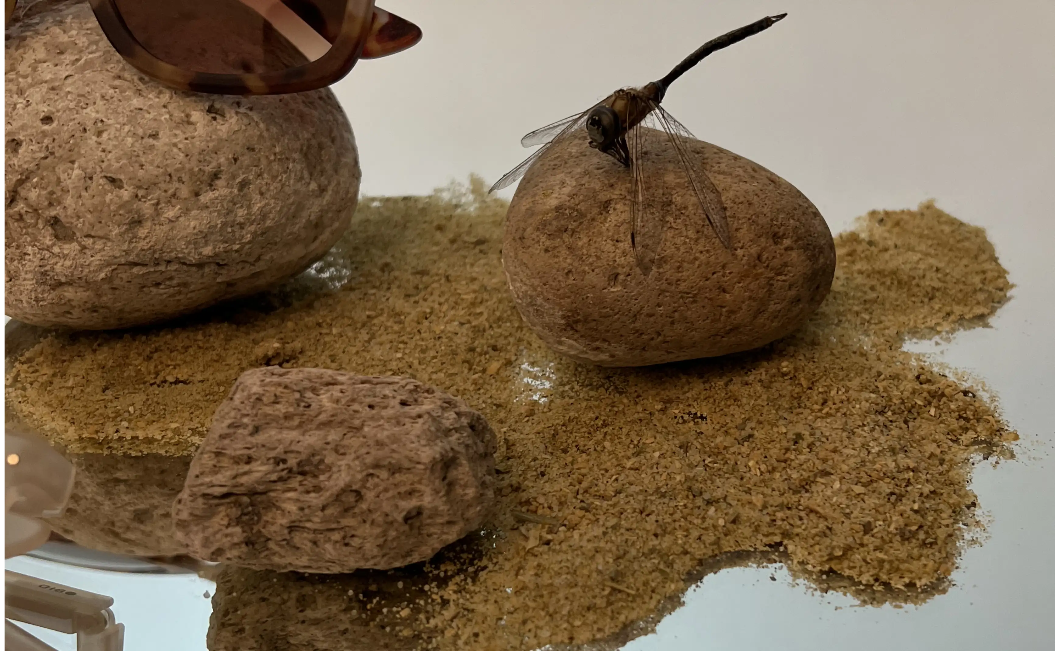 Composición con piedras, arena y libélula junto a gafas marrones para campaña de accesorios inspirada en lo orgánico.