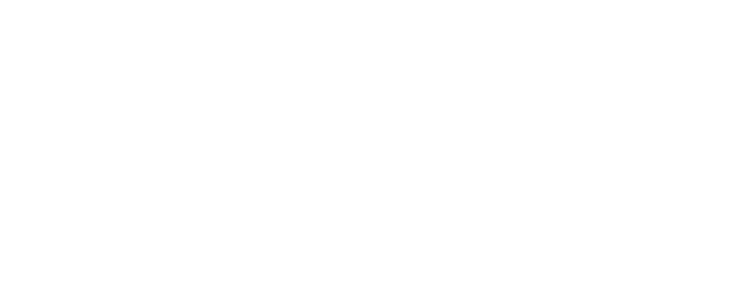 Prince coal fired Pizza logo