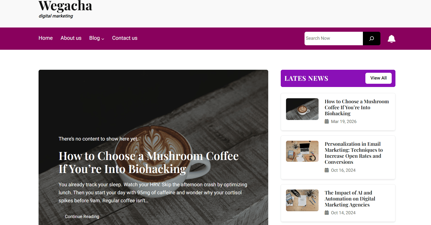 Wegacha - Miami SEO Agency