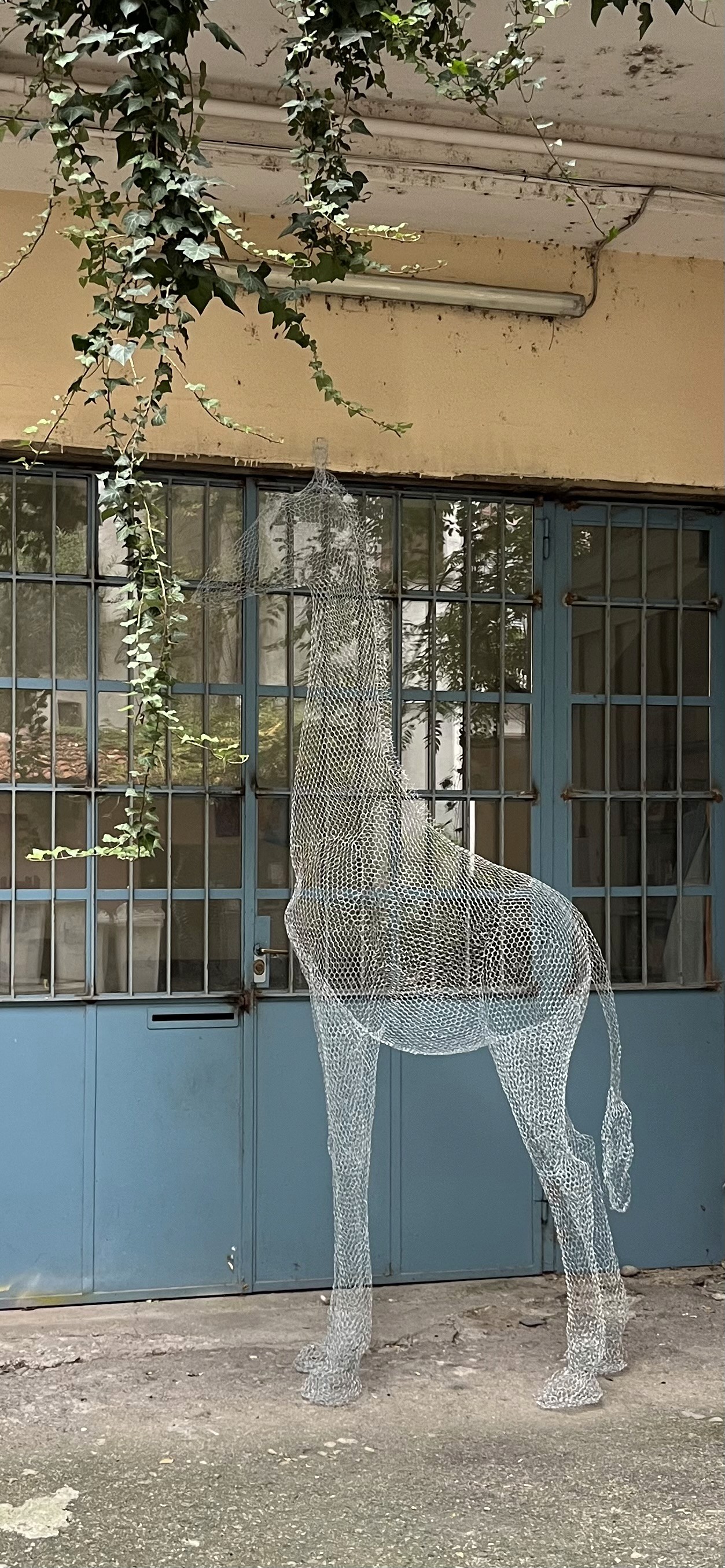 Project gallery image 8