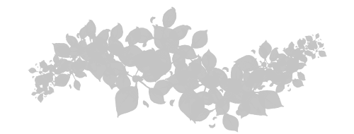 Leafy 1