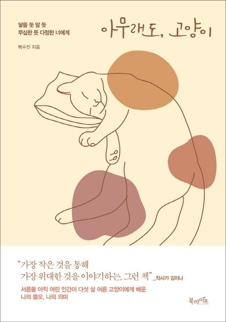 작가 백수진의 아무래도 고양이 책 표지