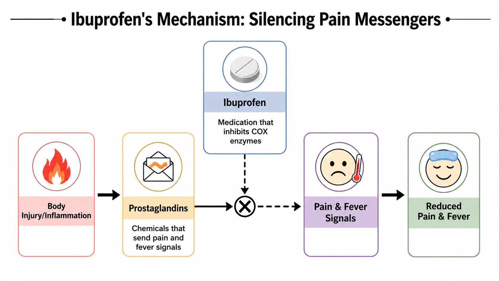 A diagram illustrating how ibuprofen inhibits COX enzymes to reduce pain and fever signals in the body.