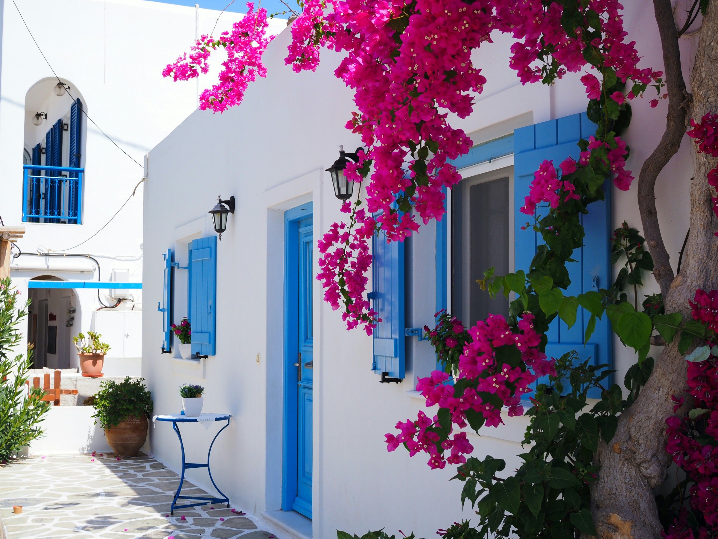 Bougainvillea in bloom over a whitewashed house with blue shutters in a village alley on Antiparos