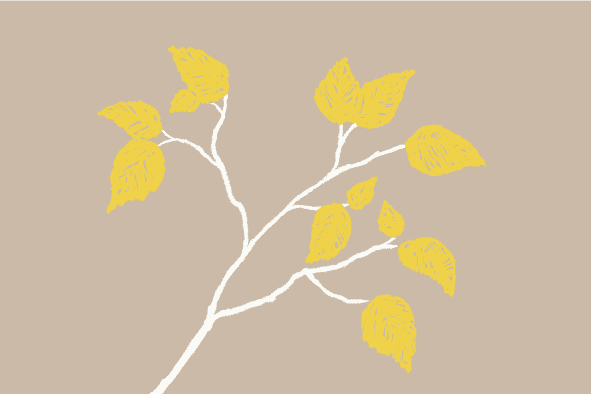 A hand-rendered illustration of a white birch tree branch with yellow leaves on a pale brown background.
