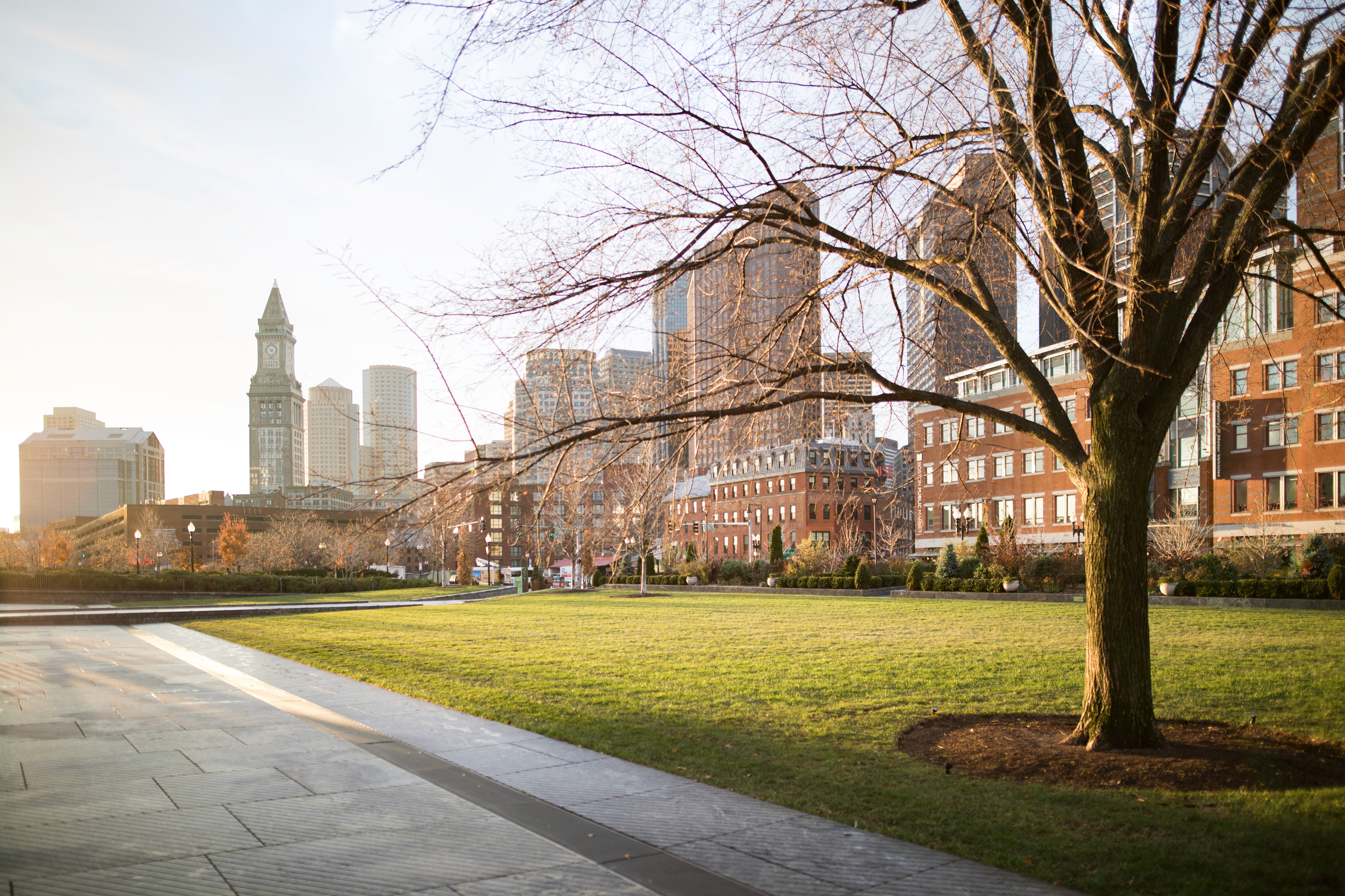 Boston City Sightview