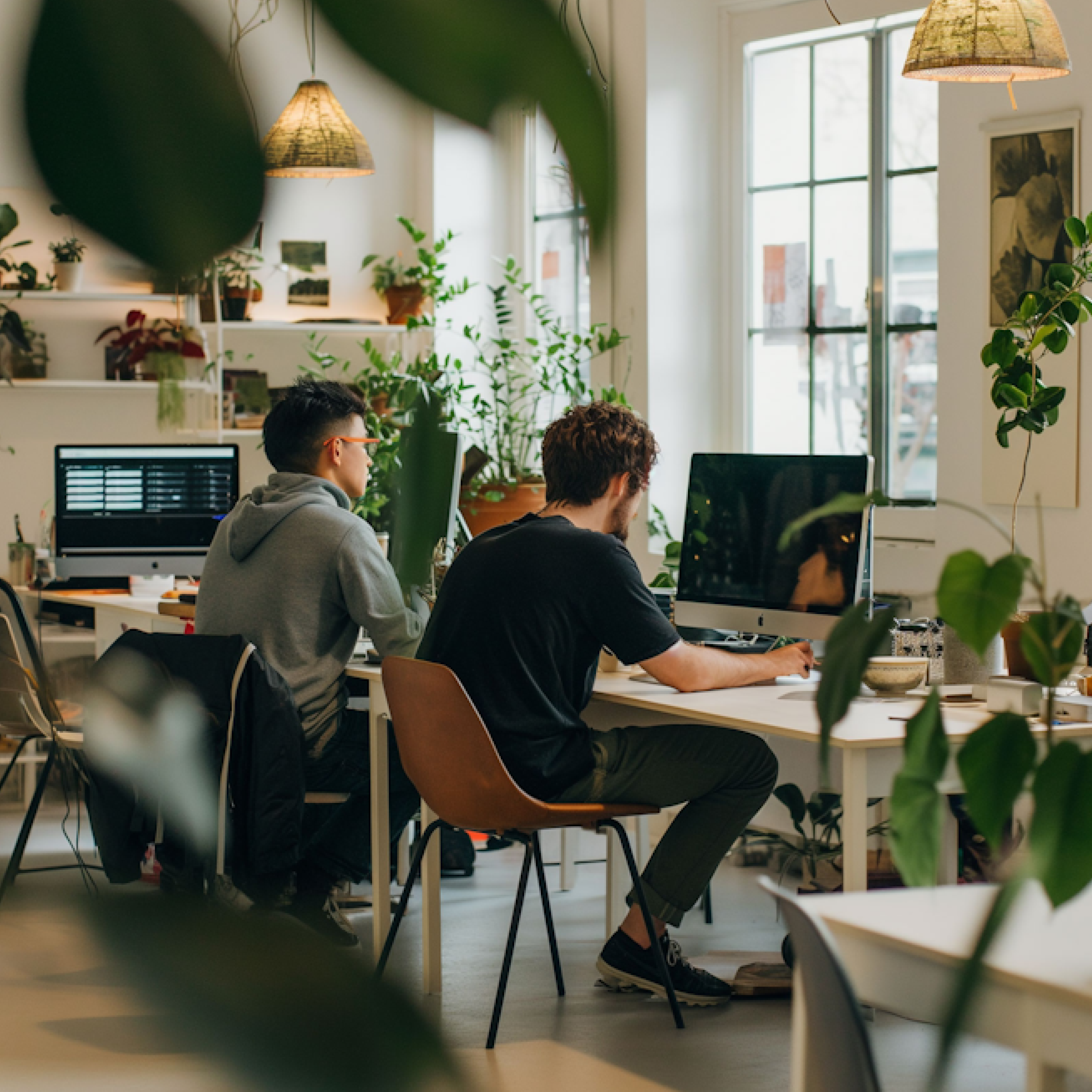 Sunset over rolling hills with tall grass