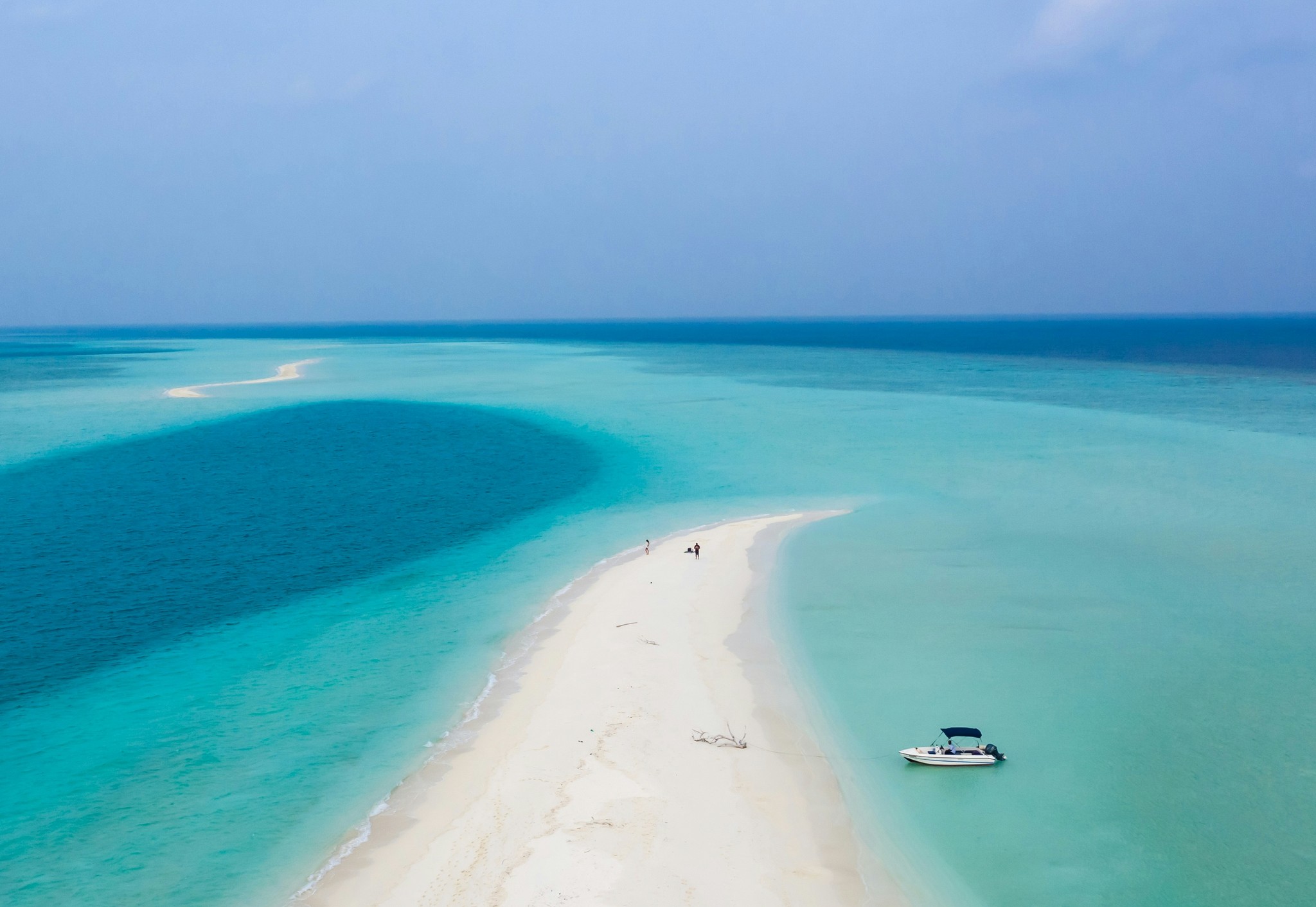 Maldives: Green Fern