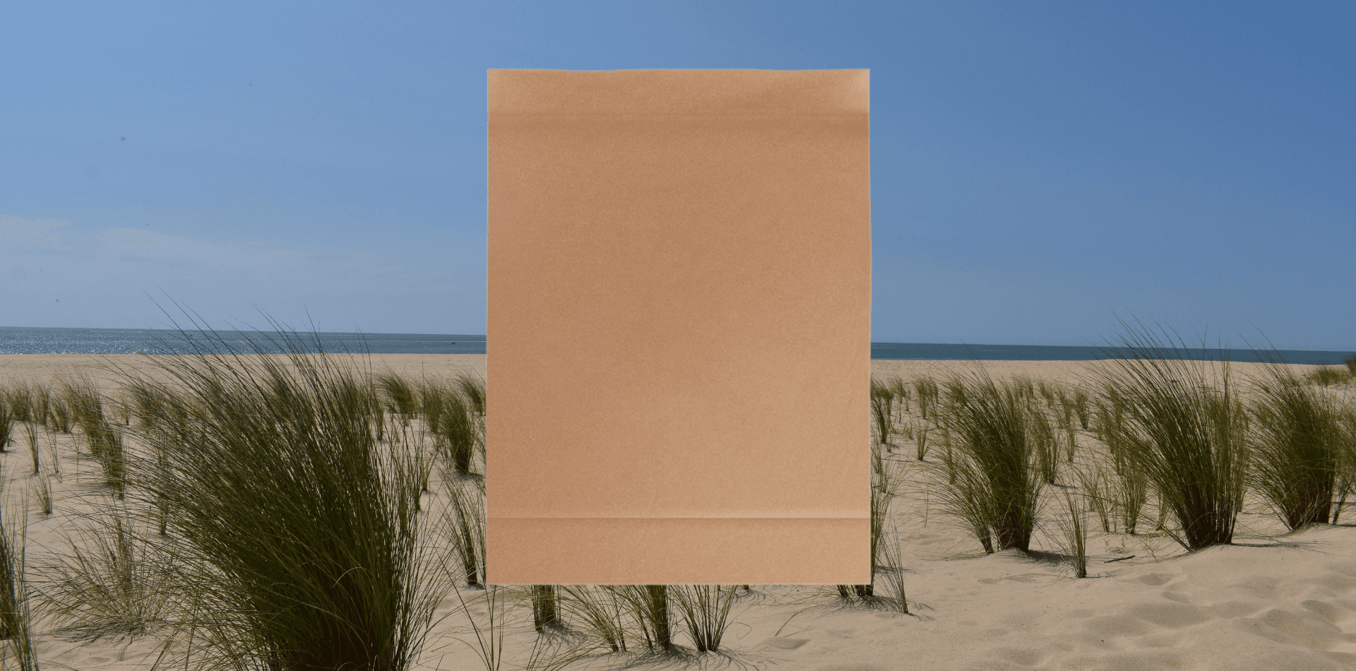 Plain Kraft Mailer Bag