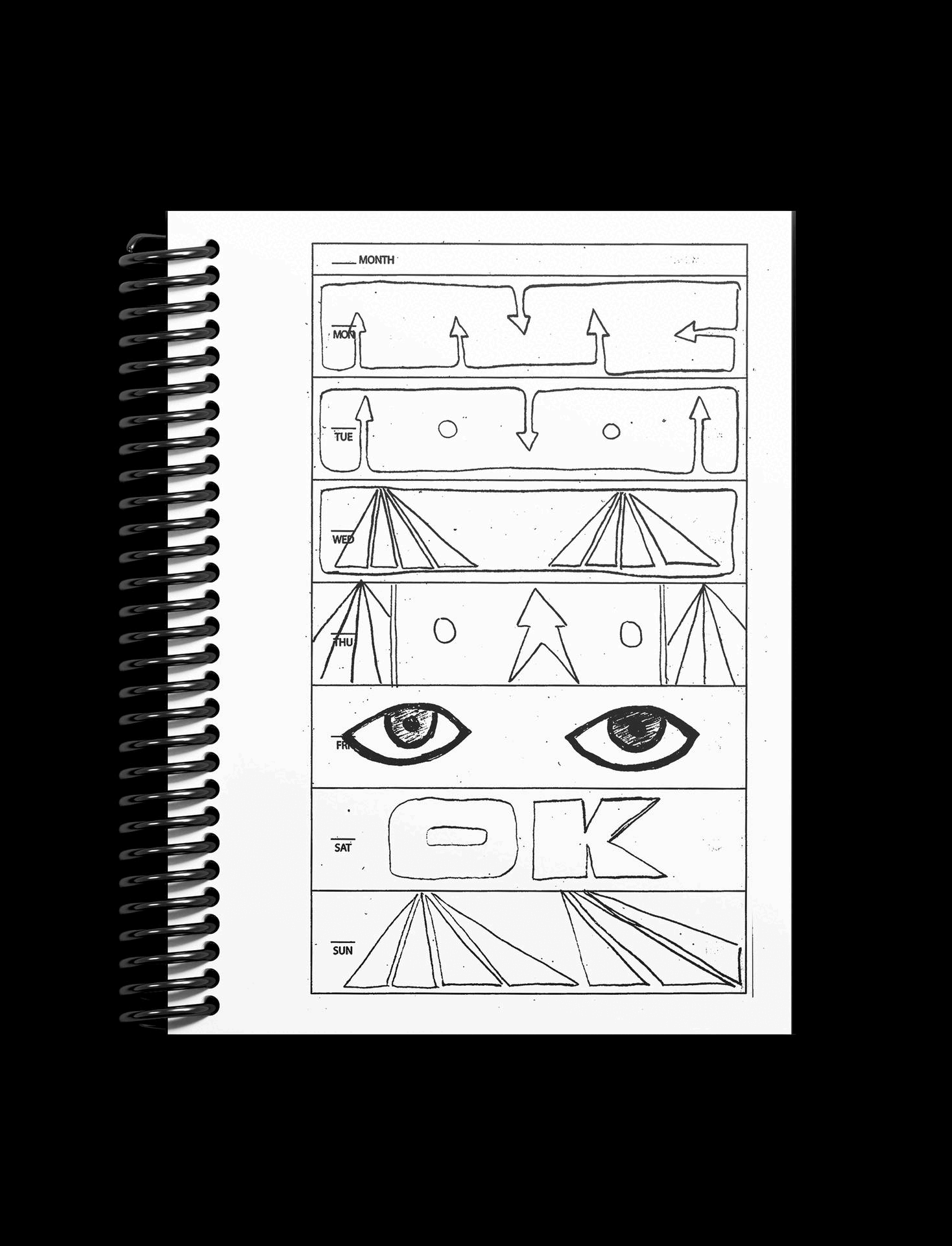 Dom Pérignon vineyards from the sky