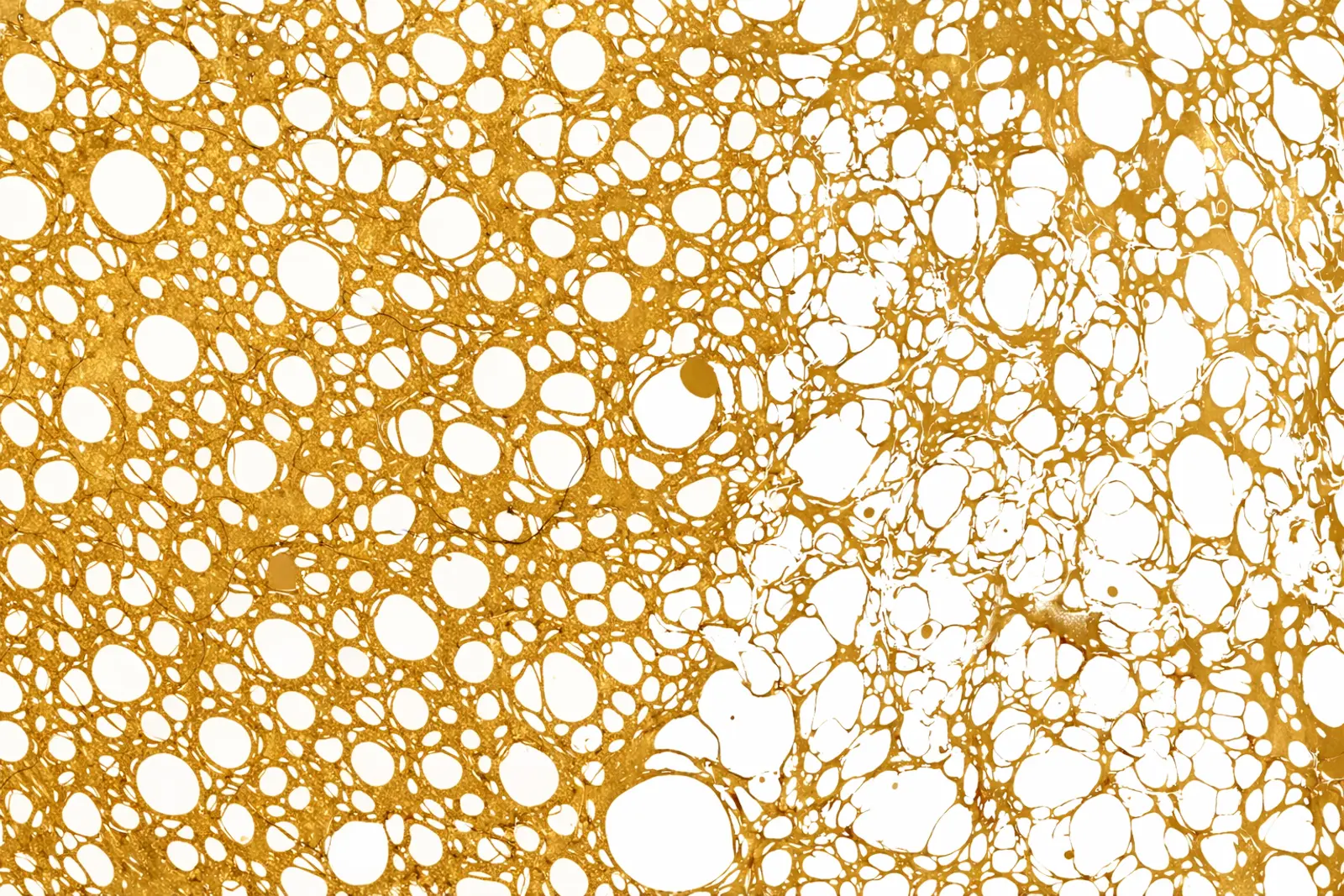Gold-colored material with numerous circular holes of various sizes.
