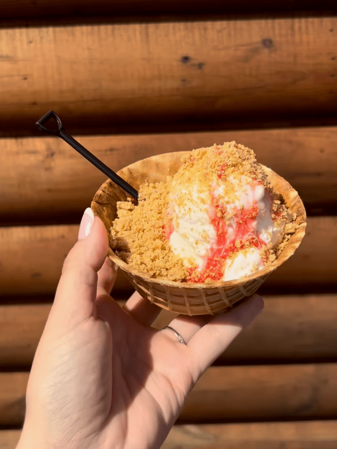 Waffle bowl filled with cheesecake ice cream and topped with Graham crackers and strawberry glaze