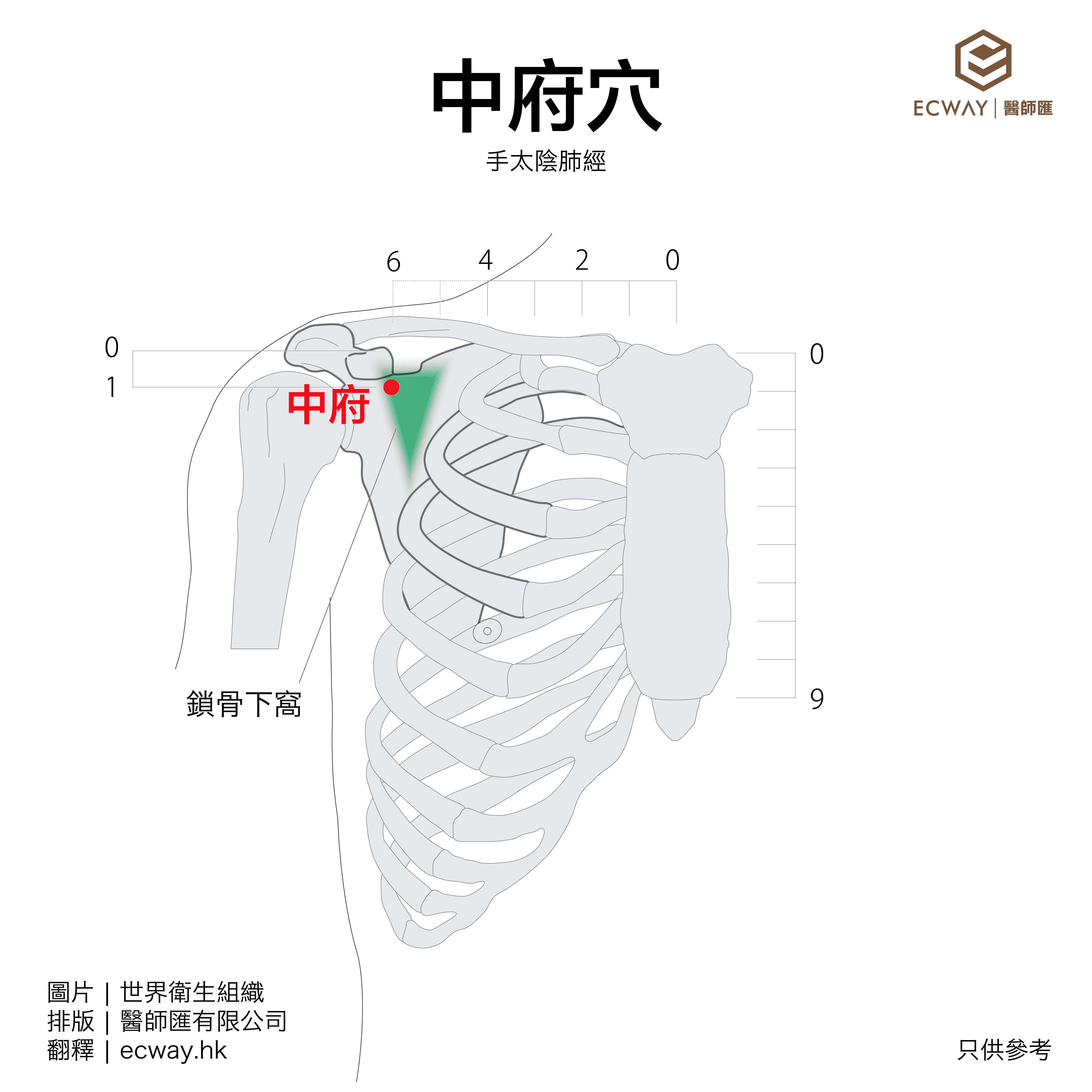 中府穴