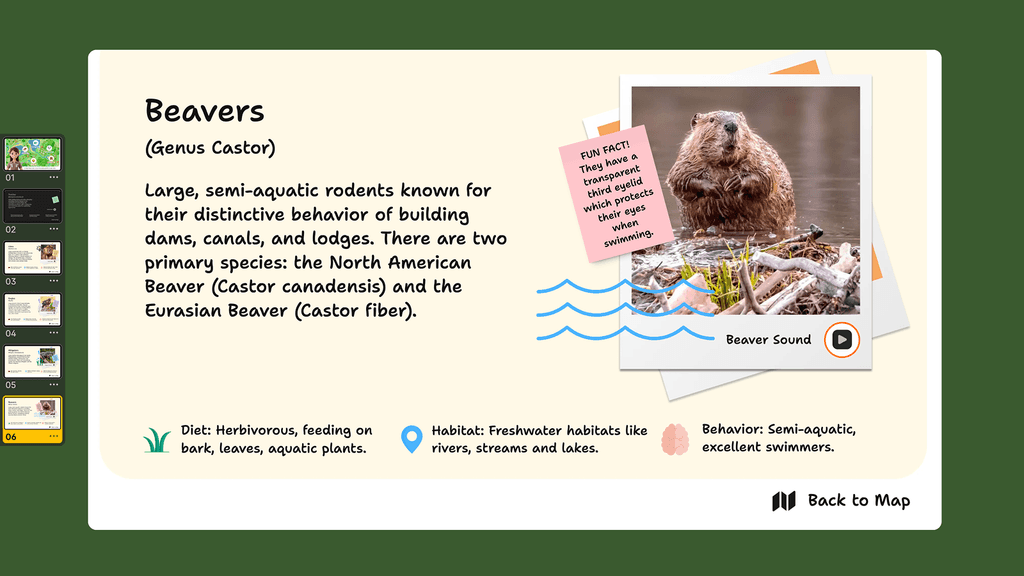 How Padlet shipped Sandbox with tldraw - tldraw: Infinite Canvas SDK ...