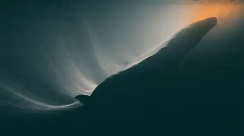 Luminous Fluid 08
