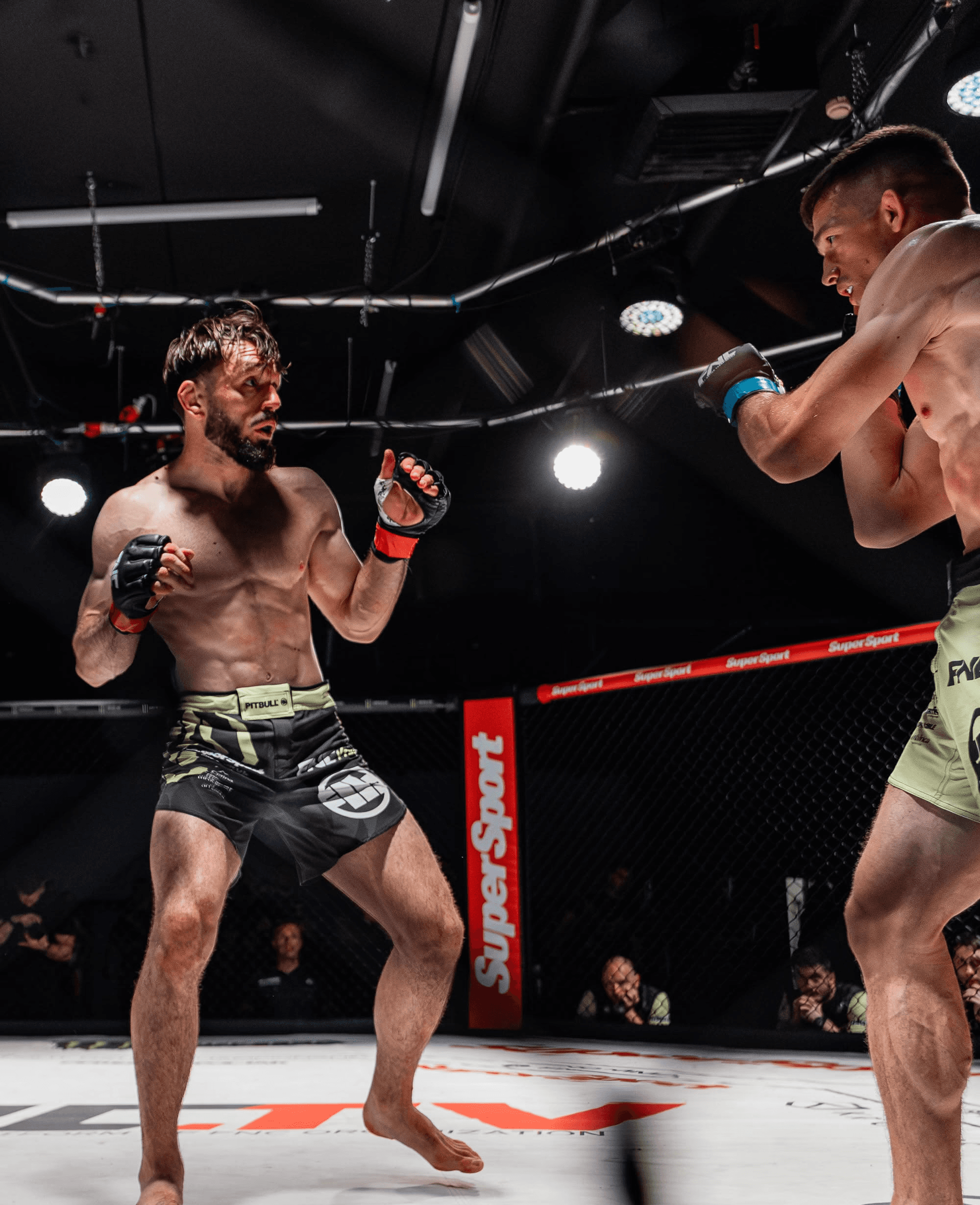 Ramiz Lupić izvodi visoki udarac u profesionalnoj MMA borbi, tehnika koju predaje u TCA.