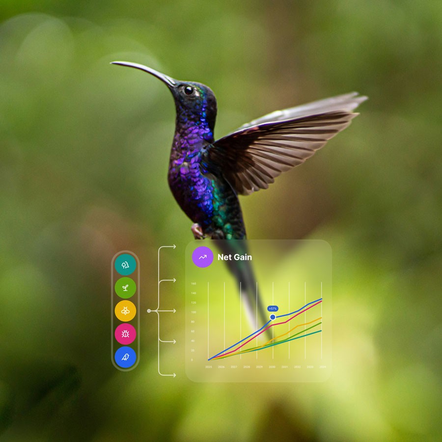 A hummingbird illustration combined with a multi-metric net gain chart, representing high-resolution biodiversity measurement.
