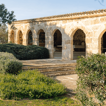 brick wall with coconut palm reflection