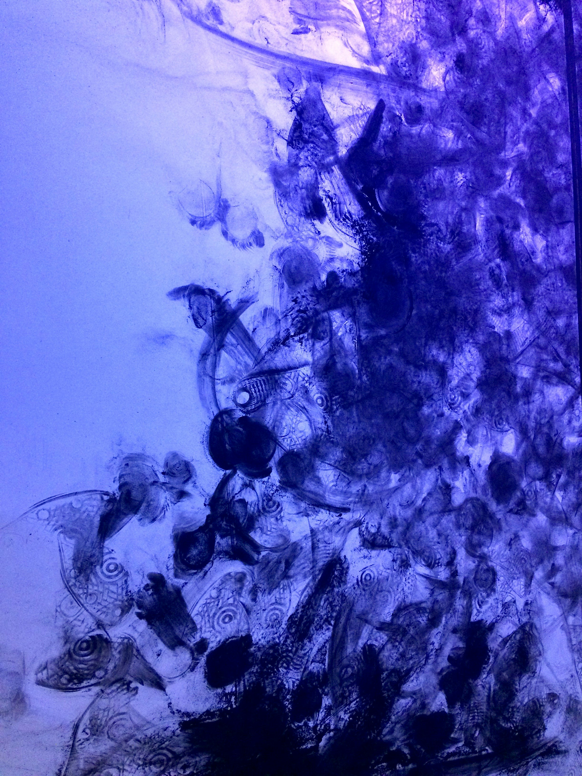 a picture of a bunch of stuff on a wall