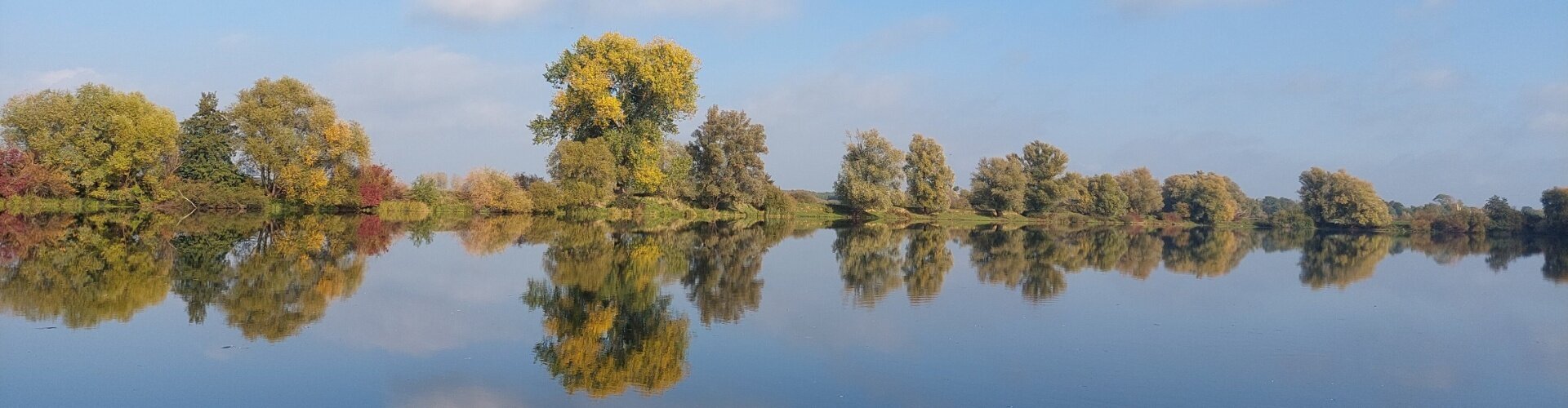 Uiterwaarden