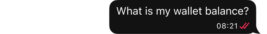 Quickly user requesting thier balance.