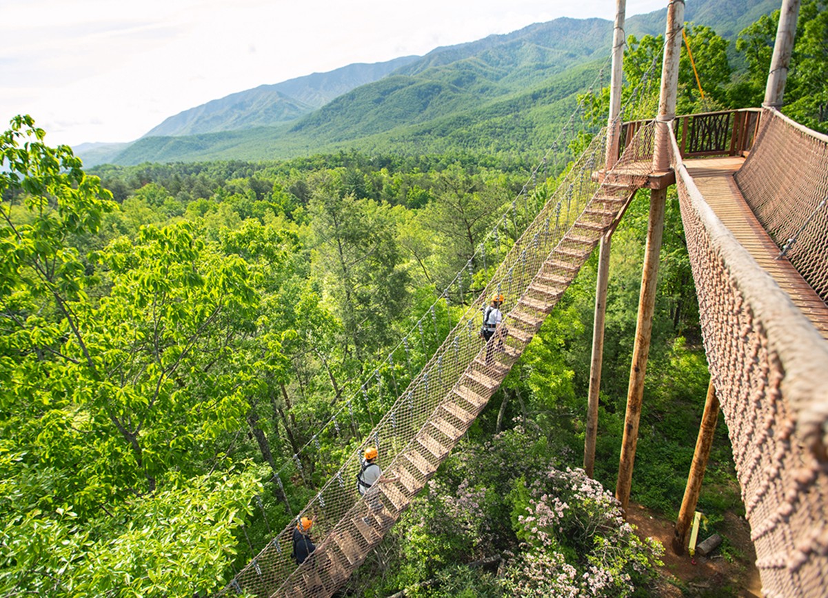 Massive rope bridge leading up to a zipline station