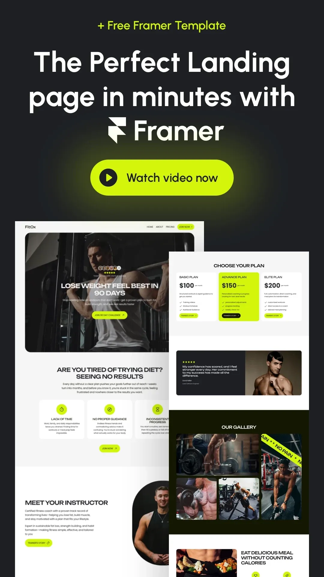 The PERFECT Landing Page in Minutes