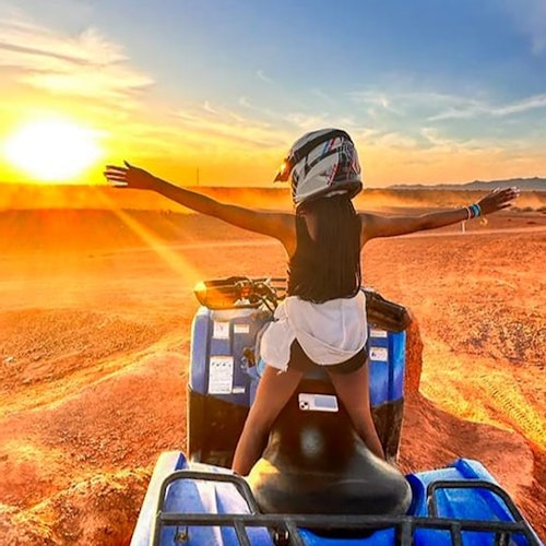 Sunset in the palm grove