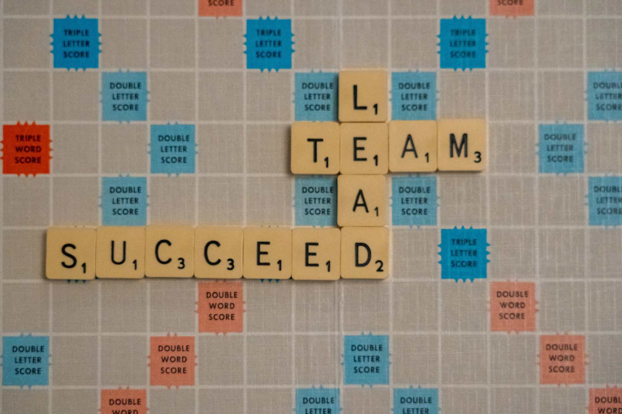 team lead succeed