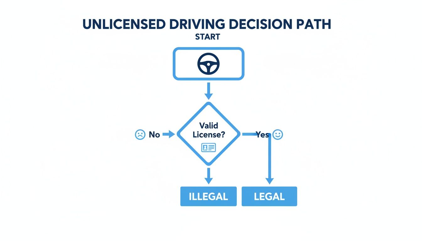 A flowchart titled 'Unlicensed Driving Decision Path' showing if driving with a valid license is legal, otherwise illegal.