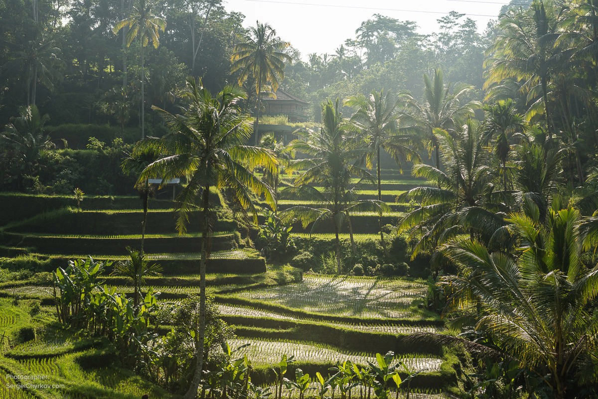 Bali by Sergei Chyrkov. Бали, фотограф Сергей Чирков