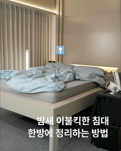 천장에 보관하는 침대