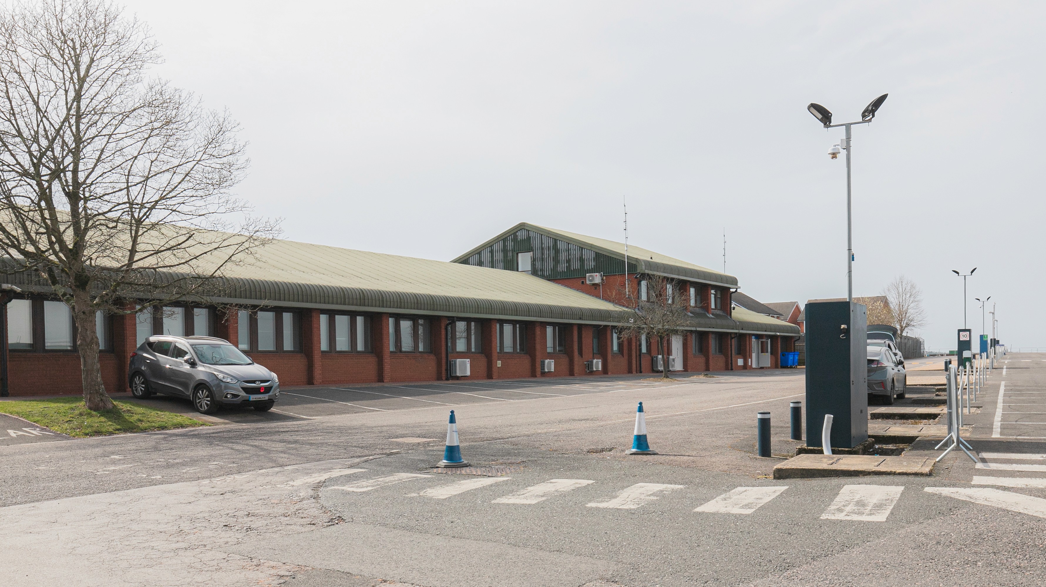 Two classic volkswagen beetles, one green, one cream.