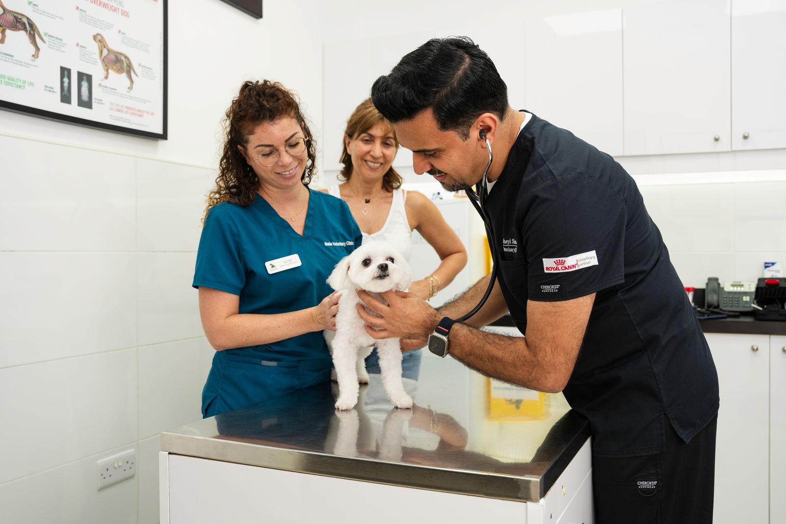 What Could Cause Seizures in Dogs?