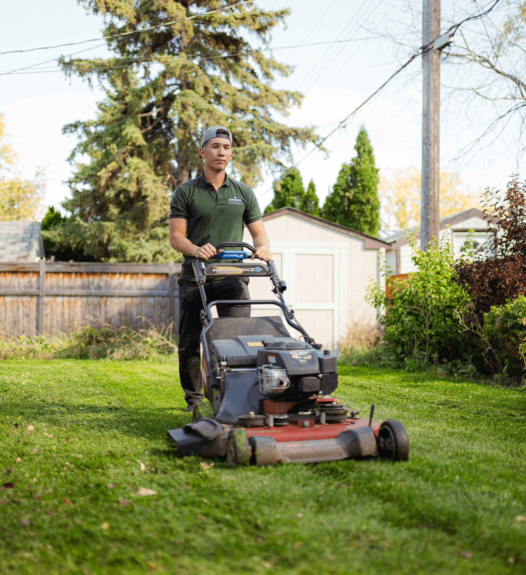 Lawn Mowing in Winnipeg. The employee is mulching the grass with a 30 inch mower
