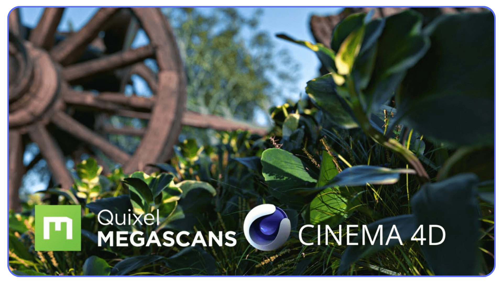 Quixel Megascans environment assets integrated with Cinema 4D, showing realistic foliage and textures