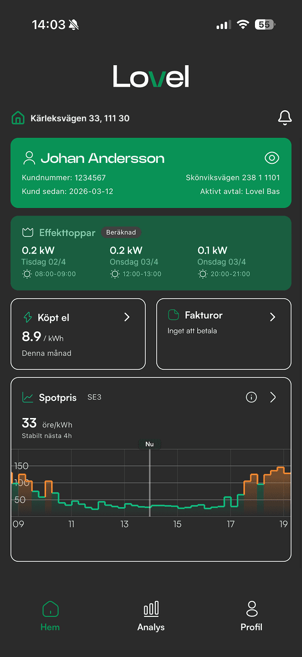 Lovel-appen visar din elförbrukning per dag