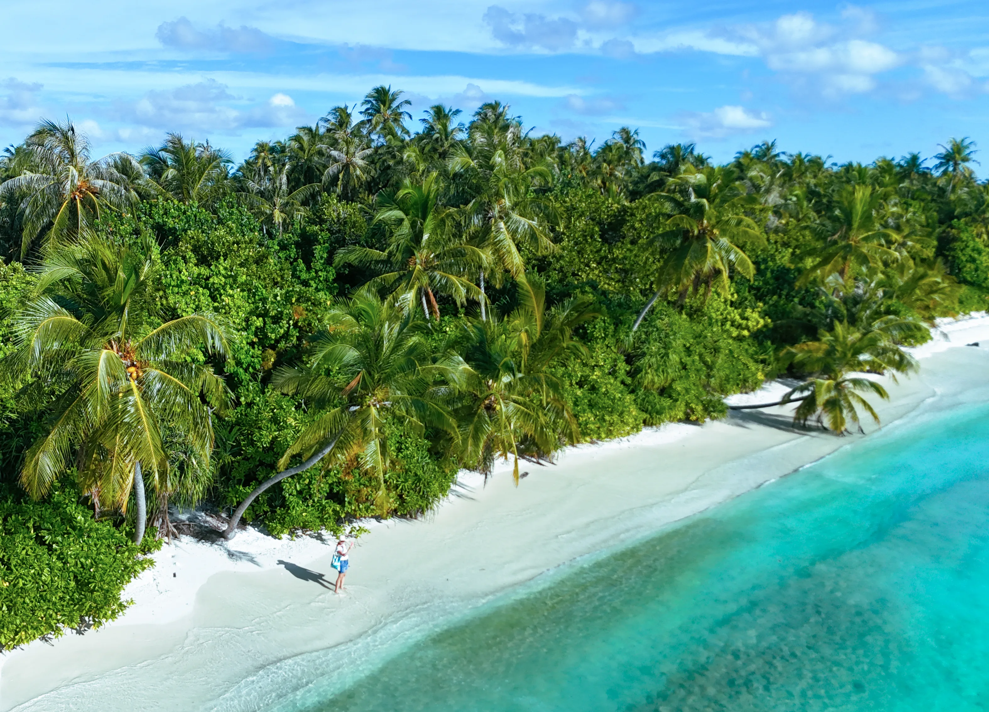 low-angle photography of two men playing beside two women