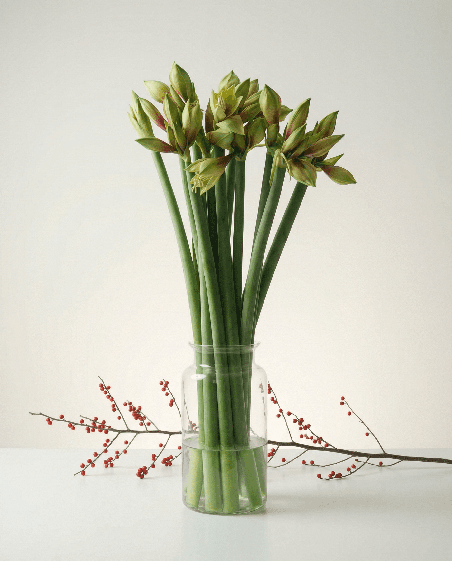 GNR8 editorial transformation
