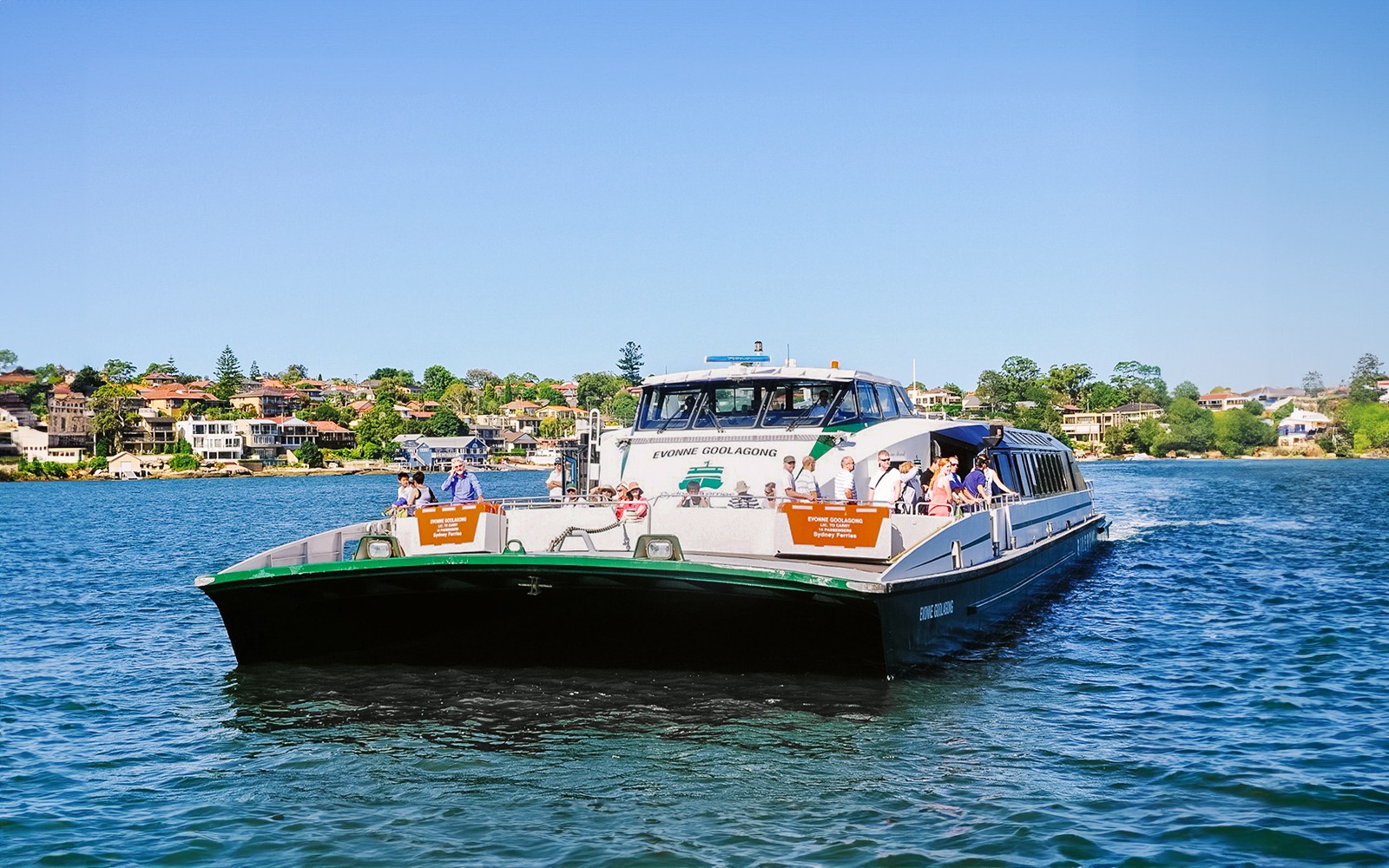 悉尼港渡轮游览，乘客欣赏城市风光，是蓝山旅行的一部分。