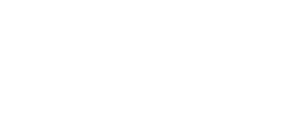 Wise Logo