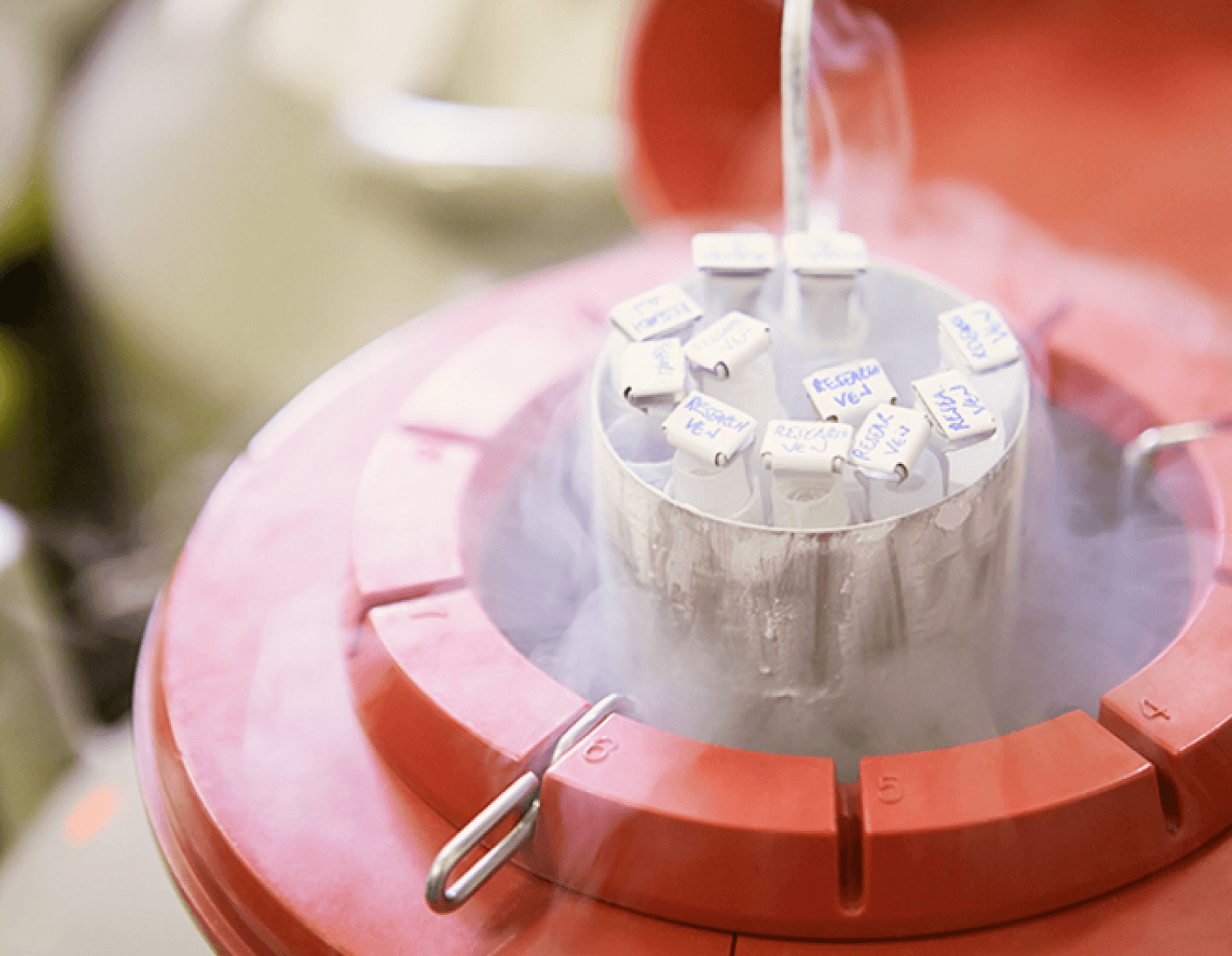 Labeled biological samples inside of a cryopreservation tank