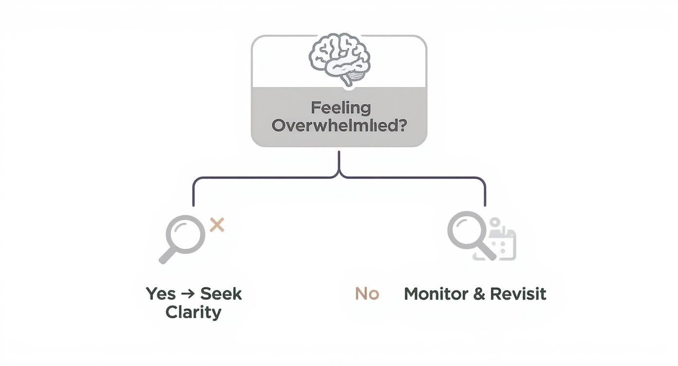 Infographic about adhd assessment bc
