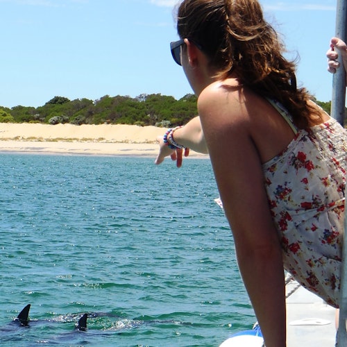 Приблизьтесь к дельфинам, не намокая, с вашим билетом на тур вы также внесете вклад в охрану природы!