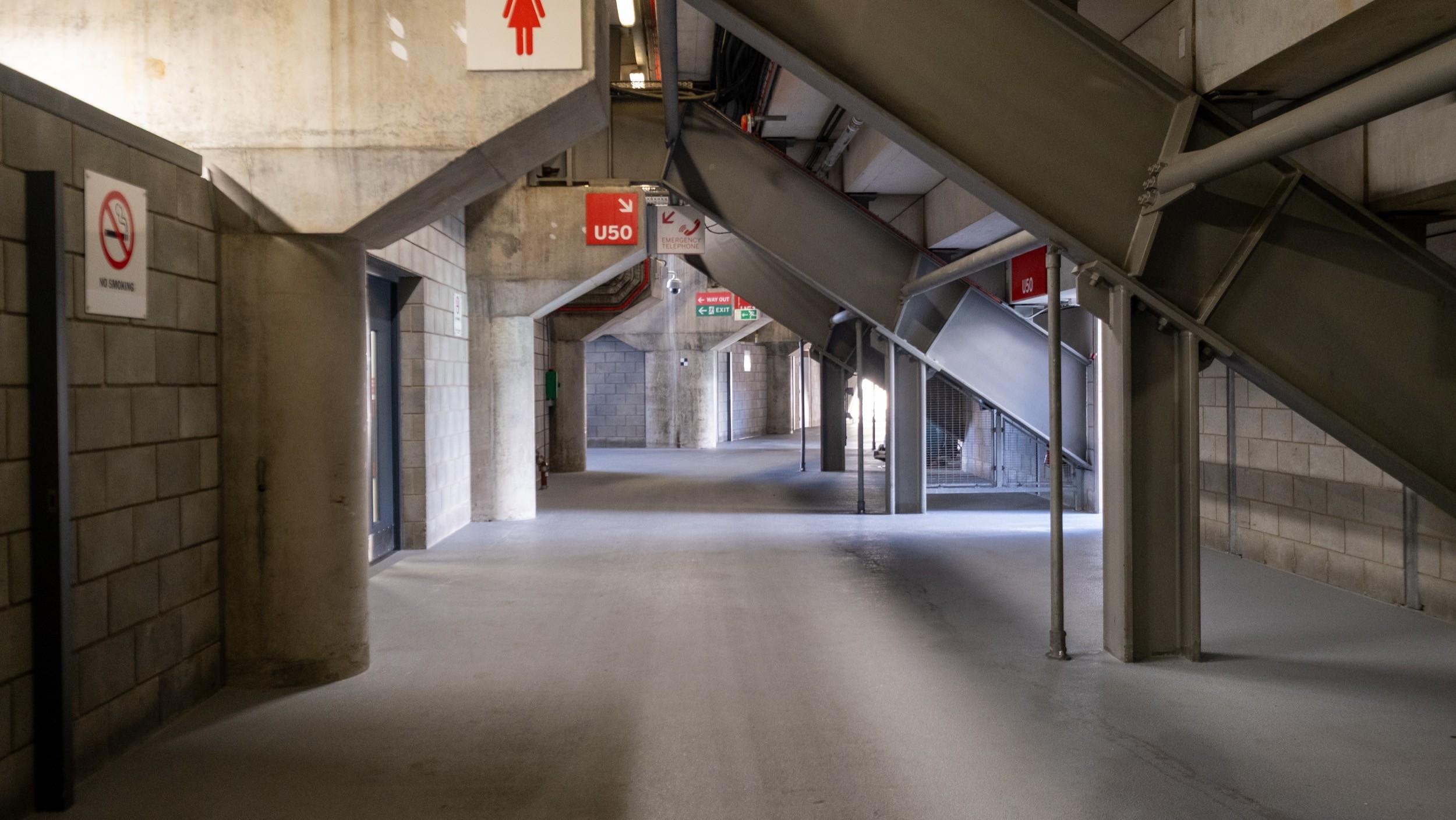 Two classic volkswagen beetles, one green, one cream.