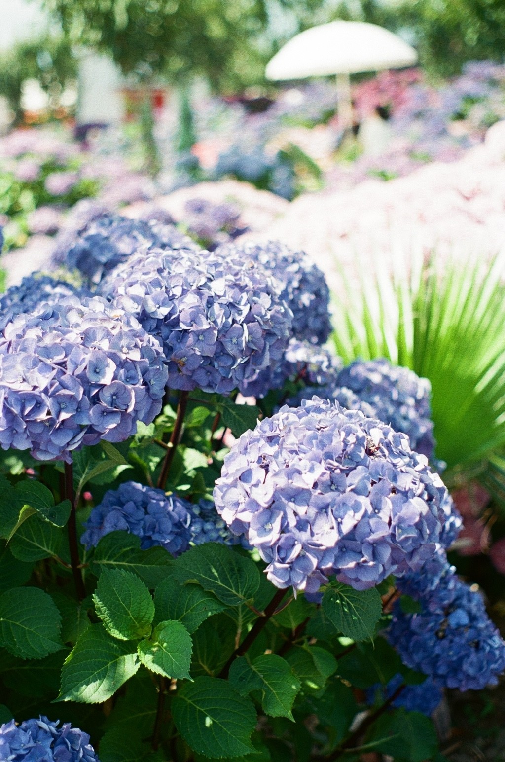 a cell phone leaning on a ledge
