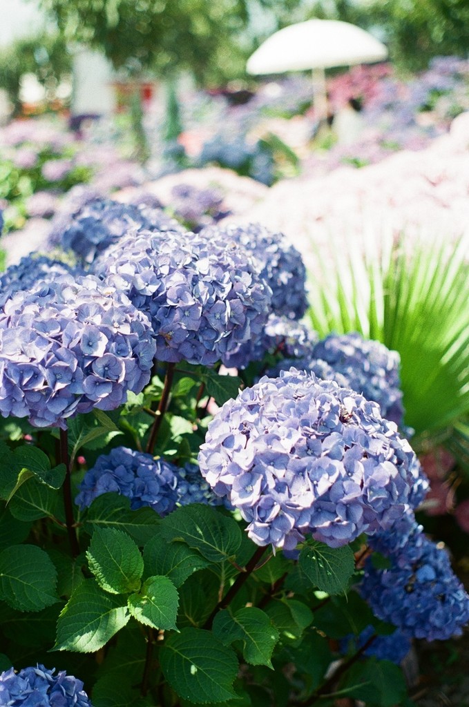 a cell phone leaning on a ledge