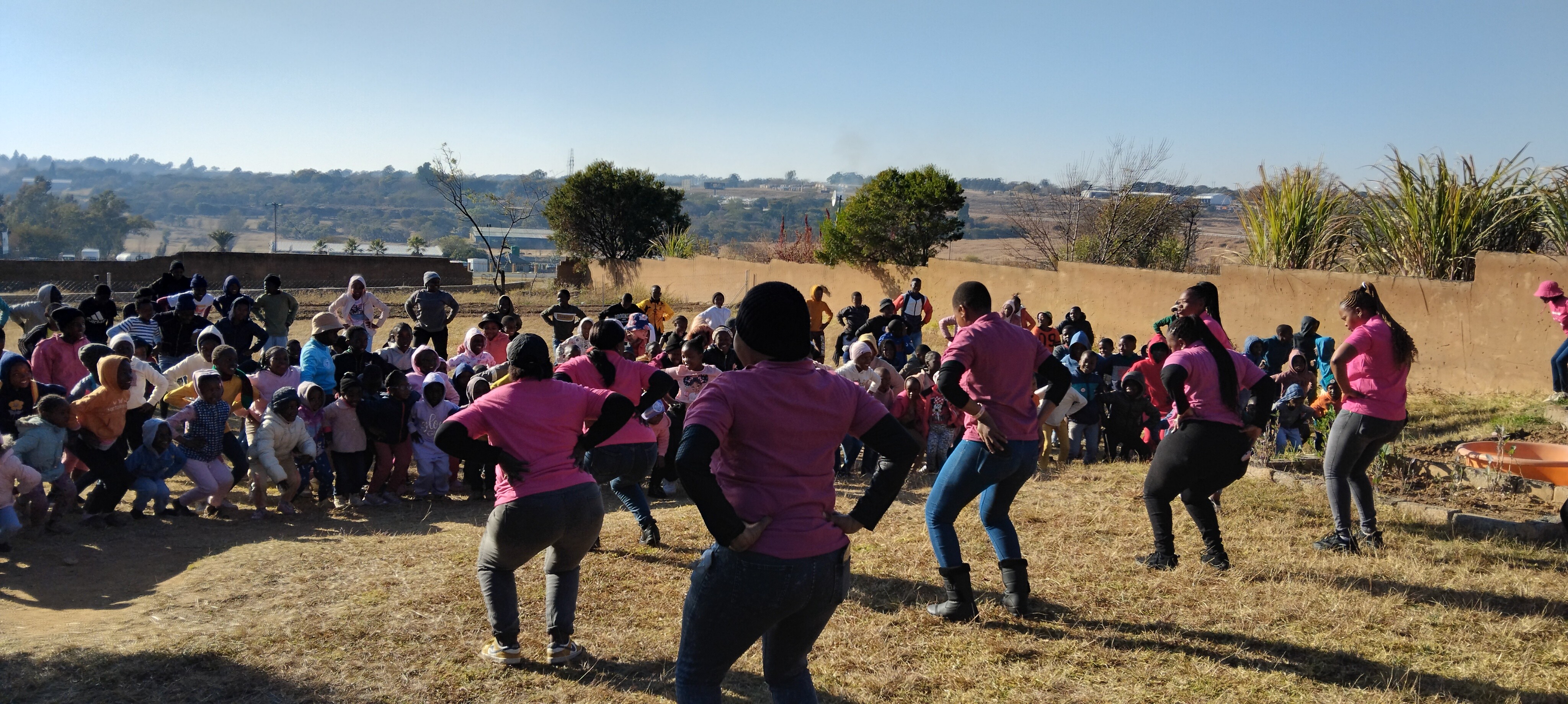 Close-up of a tree stump showing growth rings and a textured brown wood surface.