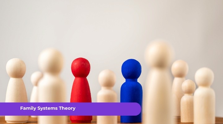 Family Systems Theory