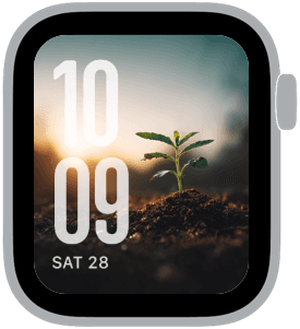mustard seed Apple Watch face preview 4 featuring spring.